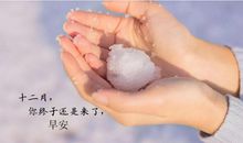 十一月再见十二月你好发朋友圈的句子