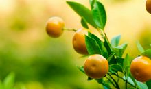 发朋友圈好听的开心句子