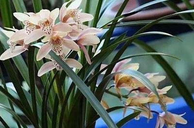 不快乐的朋友的句子1