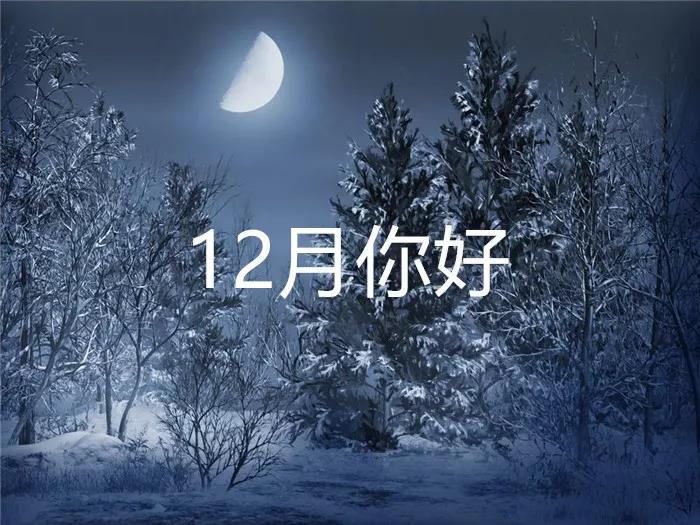 12月你好励志句子图片2