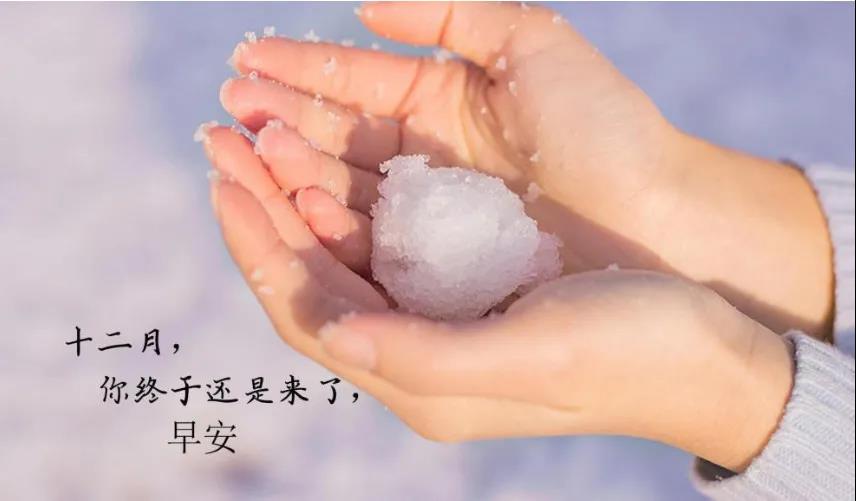 带图片的12月文案