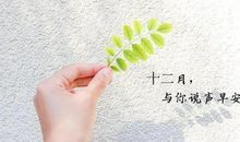 十二月文案图片
