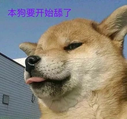 关于舔狗的悲伤报价