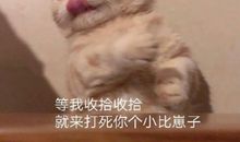 日本社畜写的川柳诗句 玩转毒舌人生