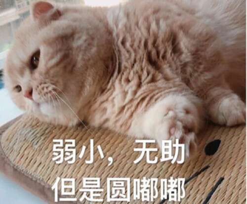 日本社会动物写的川柳诗：玩有毒的舌头生活1