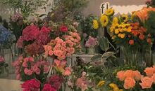 祝自己18岁生日快乐的说说