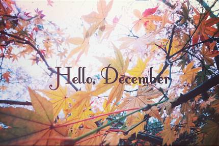 2020年12月在朋友时刻的美丽文案