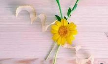 境界高精辟句子