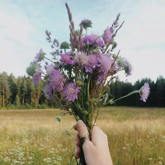 高和尖锐状态的句子2