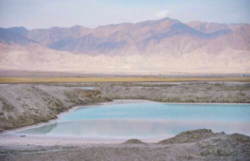 适用于秋冬发圈的温柔文案