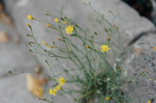 适用于秋冬发箍的温柔文案1