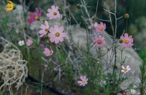 秋冬发带的文案柔和2