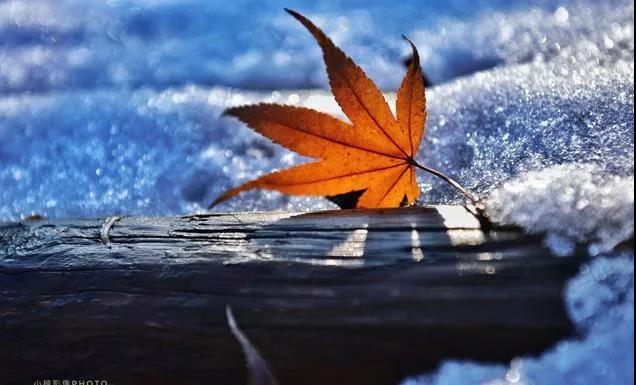 祝我一生健康的句子2