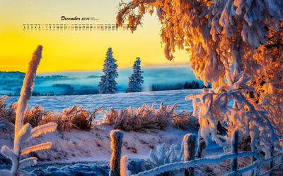 情绪低落的句子2