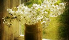 心存爱开心的句子