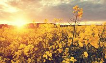 再次重逢开心的句子