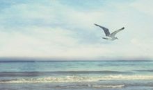 发朋友圈的精美开心句子