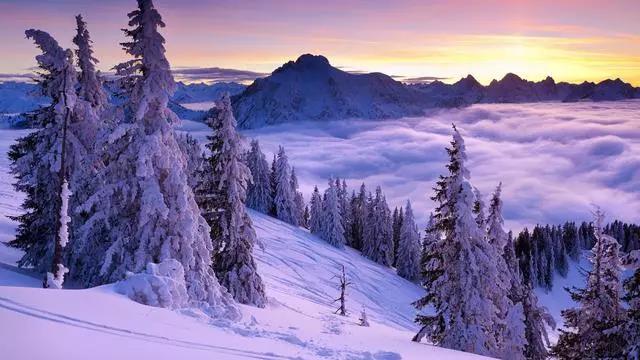 朋友的冬至片刻2