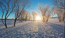 冬至朋友圈心情说说