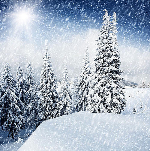 冬天的早晨雪的句子