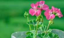 心情签名2021最新版