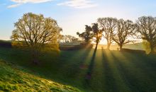 关于励志句子大全