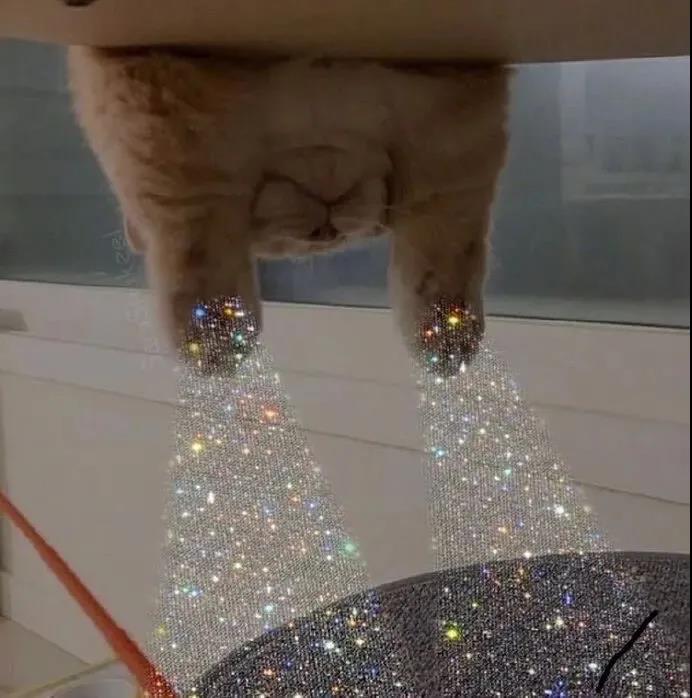 使您的心动一眼的句子2