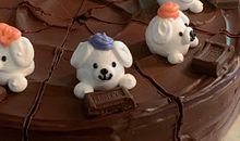 越努力越幸运励志感人句子