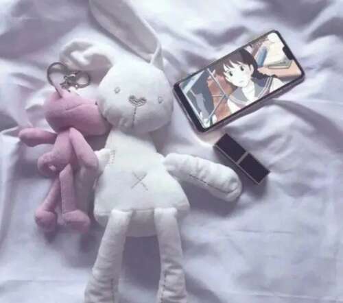 高级单打撰稿人