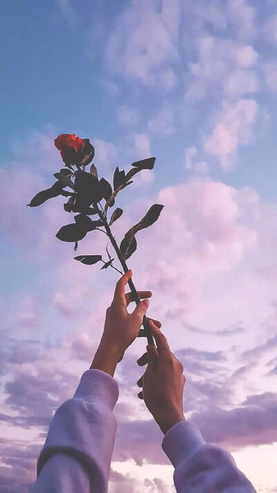 15.一切都只是一个通行证的烟雾。当烟雾分散时,我们将不存在。