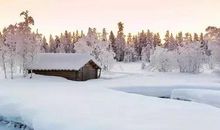 冬天想冬眠的句子