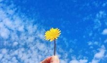 大气磅礴励志的句子