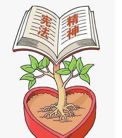 促进宪法报价的判决