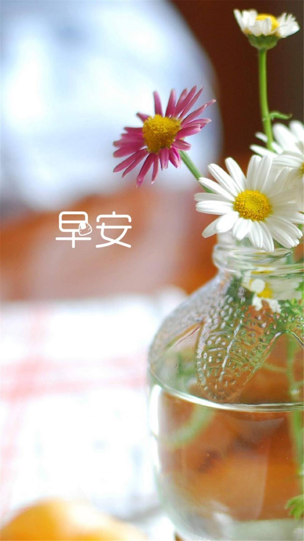 十二月,清晨句子