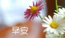 12月早安语的句子