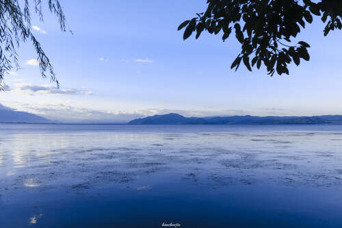 15.我的心是弯曲的溪流，数千次，去口袋，最终会向你流动。