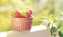 精致唯美的句子说说心情