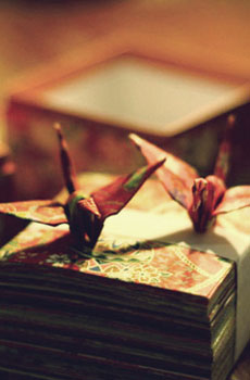 债务困扰和压力大的句子