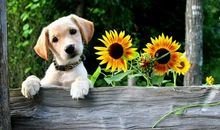 深奥又有道理的句子