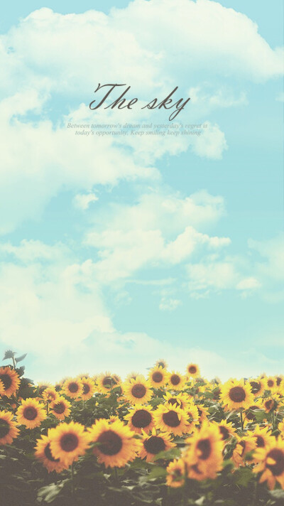 描述令人讨厌的句子3