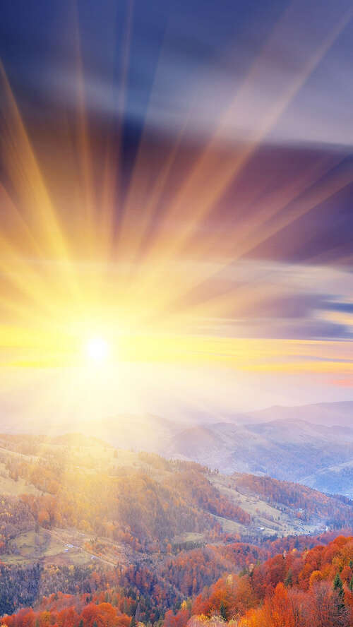 15.“愿你成为自己的阳光，无需依靠光明”