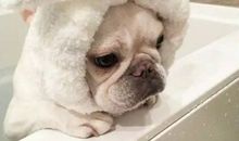 小红书可爱个性签名