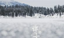 适合十二月发的句子