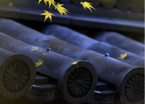 那时，我有一朵花，我没有一半。