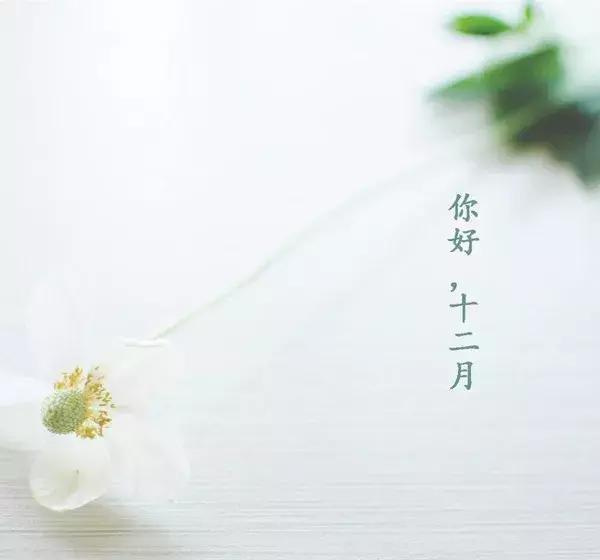 温暖你谈论曾经12月的文字