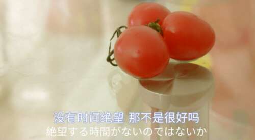 15.所有成功背后都是持久的;每个人之前的所有风景都是愚蠢的背部。只要你愿意,并坚持下去,有一天,你就会生活在你最喜欢的外观!