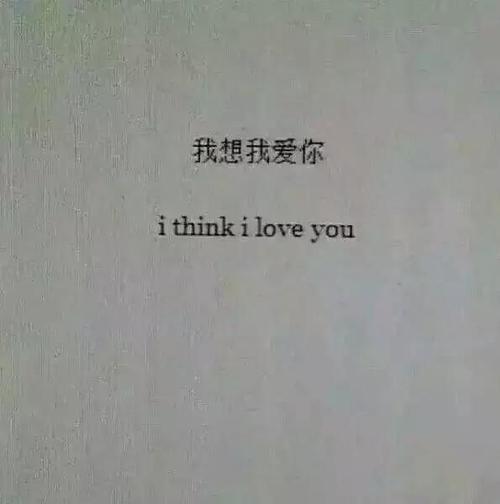 Tophbus是最受欢迎的高级爱情短句