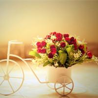 描述你自己的沮丧句子2