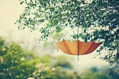 描述你自己的心烦判决1