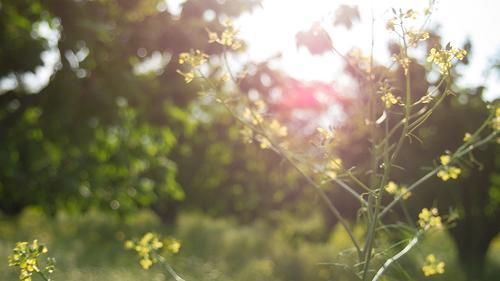 描述你自己的心烦判决